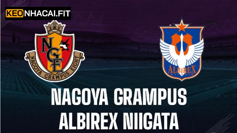 Soi Kèo Nagoya Grampus Vs Albirex Niigata 12h Ngày 31/5