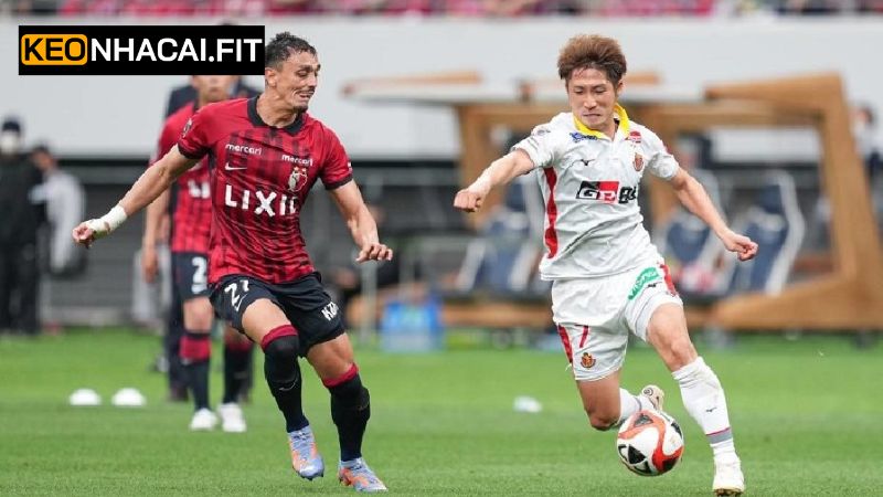 Soi Kèo Nagoya Grampus Vs Albirex Niigata 12h Ngày 31/5 2 Nhận định chung về tình hình trận đấu