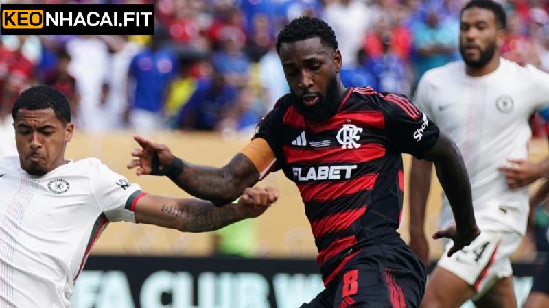 Nhận Định Los Angeles FC Vs Flamengo Vào 8h00, 25/6 Từ Keonhacai 2 Lịch sử đối đầu đội Los Angeles FC vs Flamengo