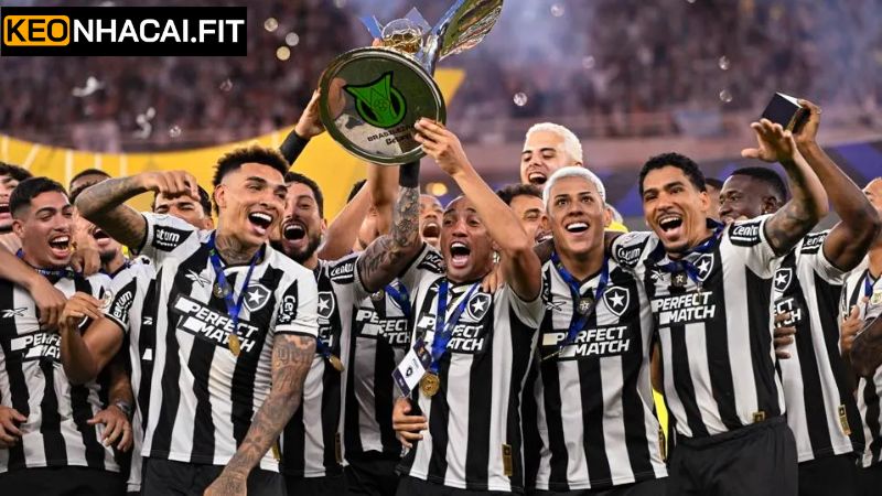 Phân tích phong độ của đội bóng Botafogo RJ