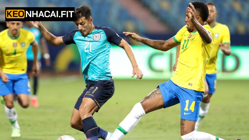 Nhận Định Ecuador Vs Brazil, 06h00 Ngày 6/6 Cùng Keonhacai 4 Dự đoán cược châu Âu của cuộc chiến Ecuador vs Brazil