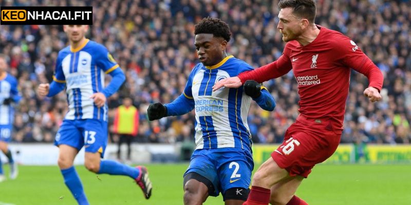 Phong độ mới nhất giữa Brighton Hove Albion vs Liverpool