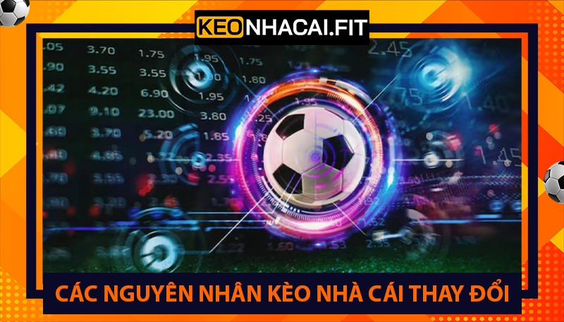 Các nguyên nhân kèo nhà cái hôm nay thay đổi