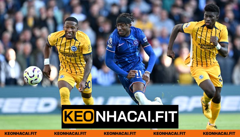 Nhận xét phong độ Brighton Hove Albion vs Chelsea