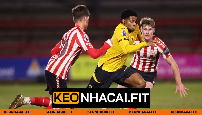 Nhận định Wolves vs Sunderland về phong độ